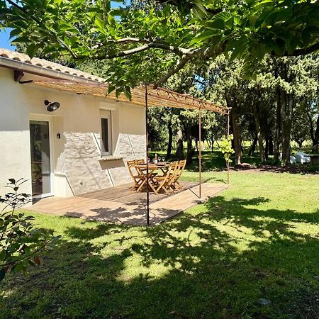 Maisonnette Avec Petite Foret Valréas Buitenkant foto