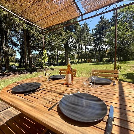 Maisonnette Avec Petite Foret Valréas Buitenkant foto
